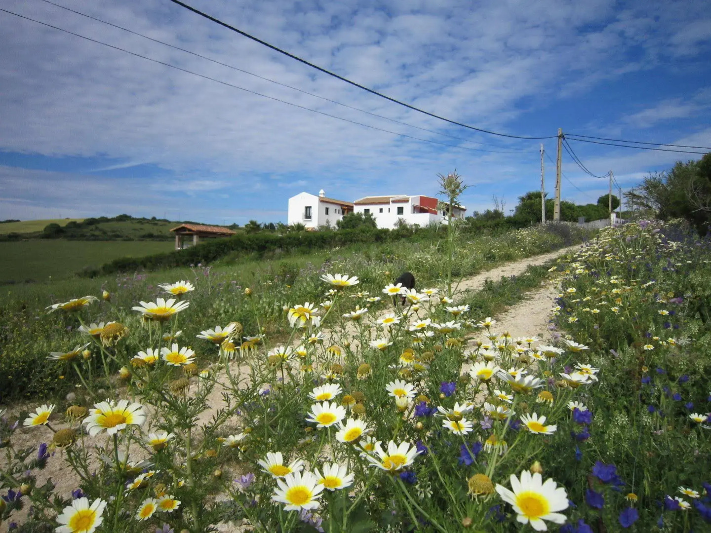 Foto - Hotel Sindhura