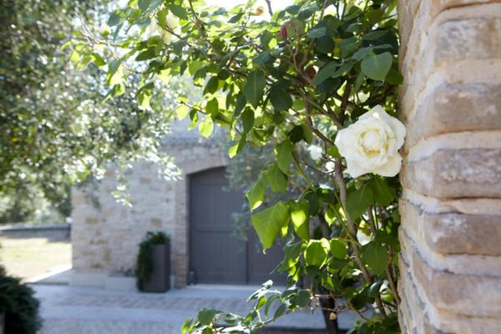 Foto - Torri E Merli Boutique Hotel