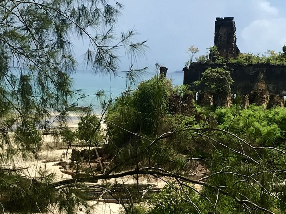 Foto - Mangrove Lodge