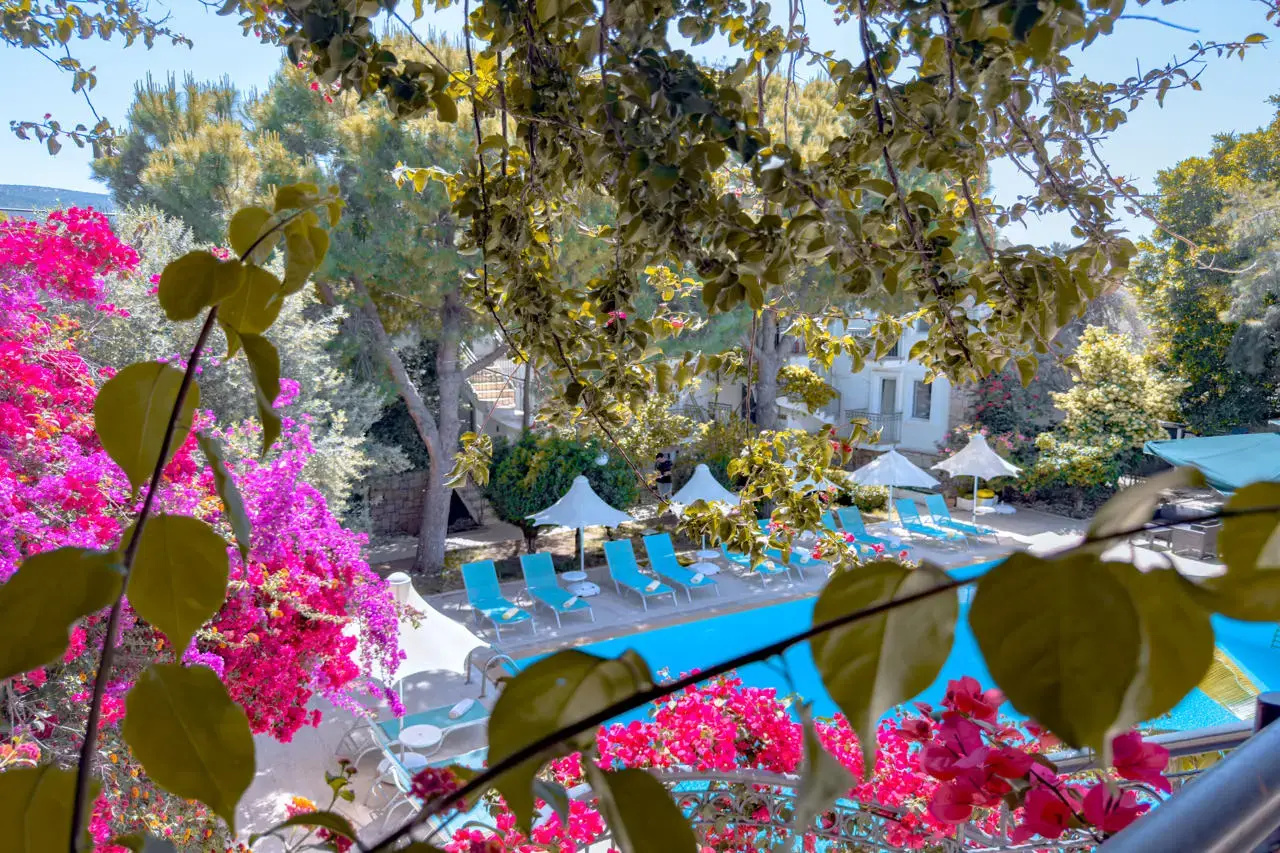 Photo - Moonshine Hotel & Suites