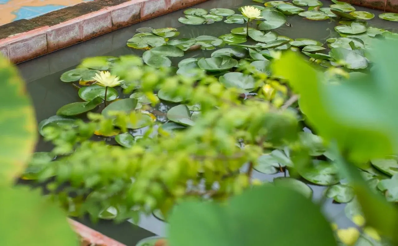 Foto - Baan Are Gong Riverside Homestay