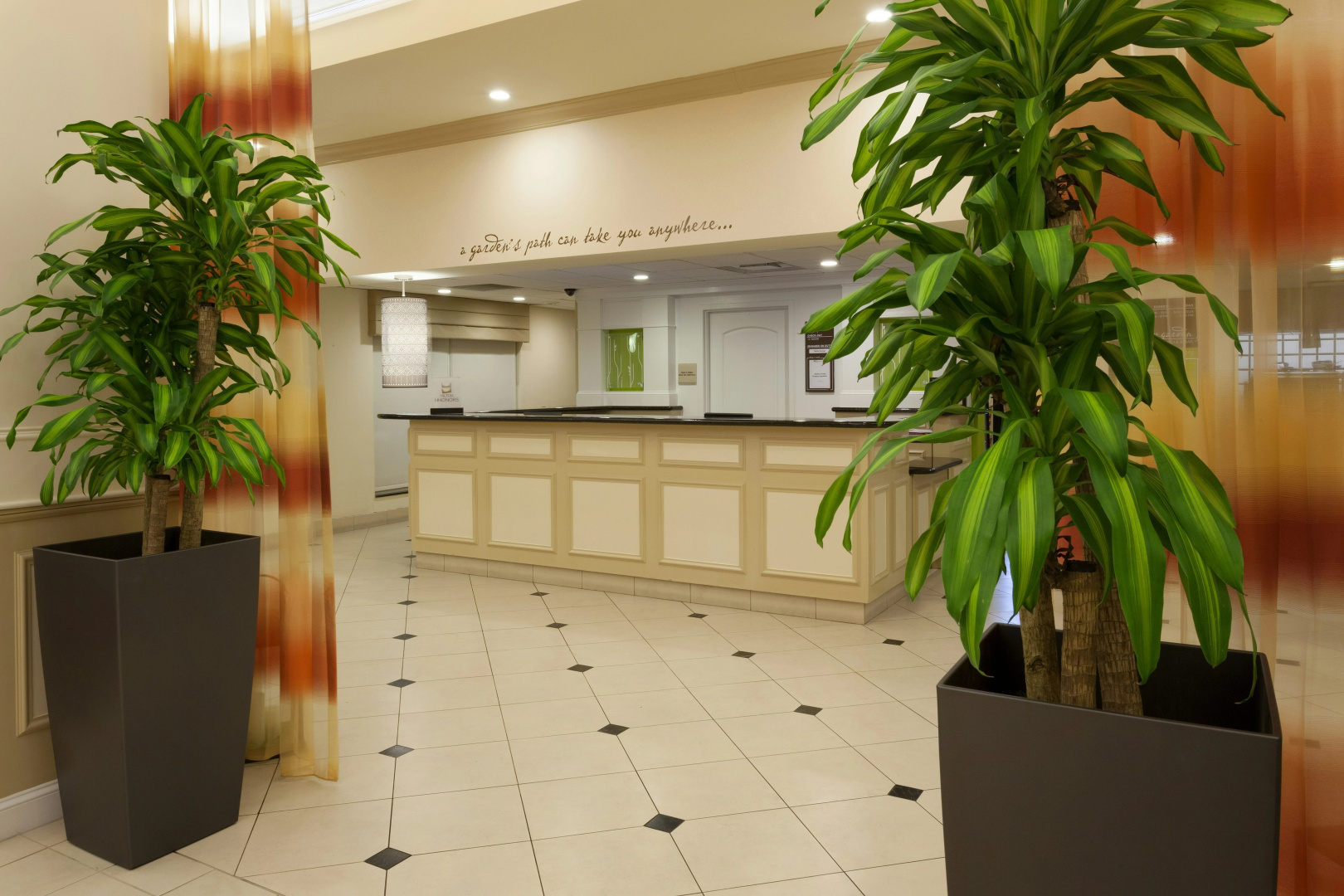 Foto - Hilton Garden Inn Gainesville