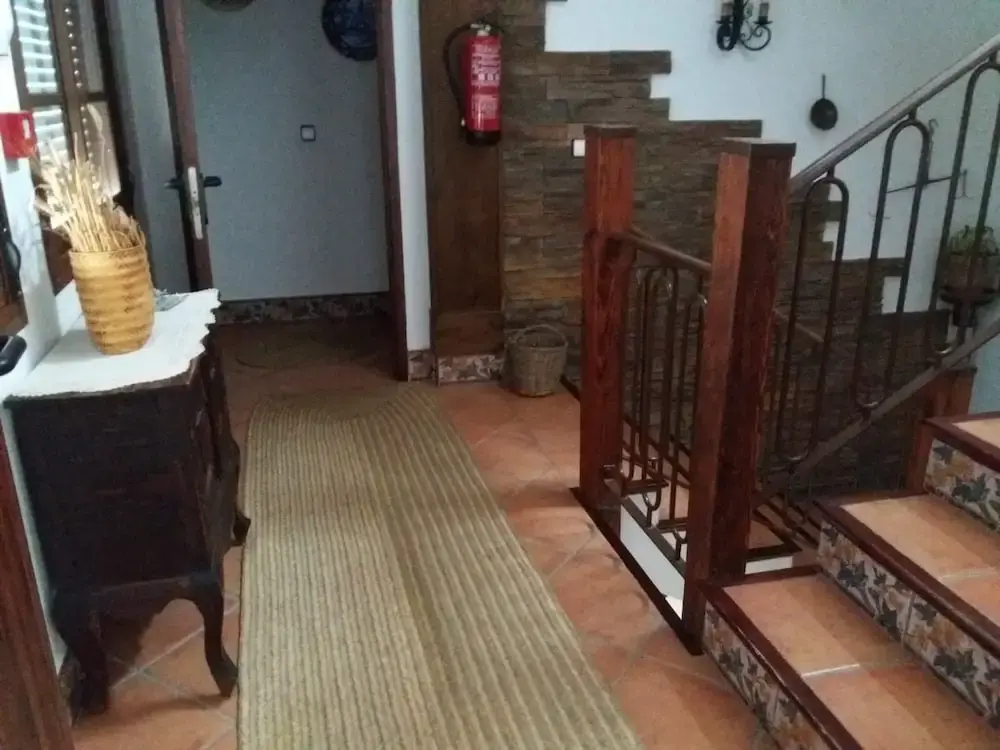 Photo - El Perro de Paterna