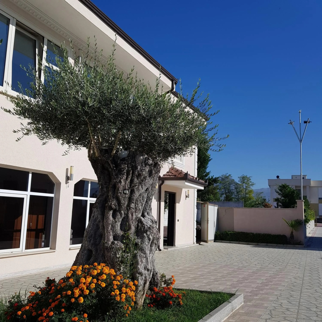 Foto - Erandi Hotel Tirana