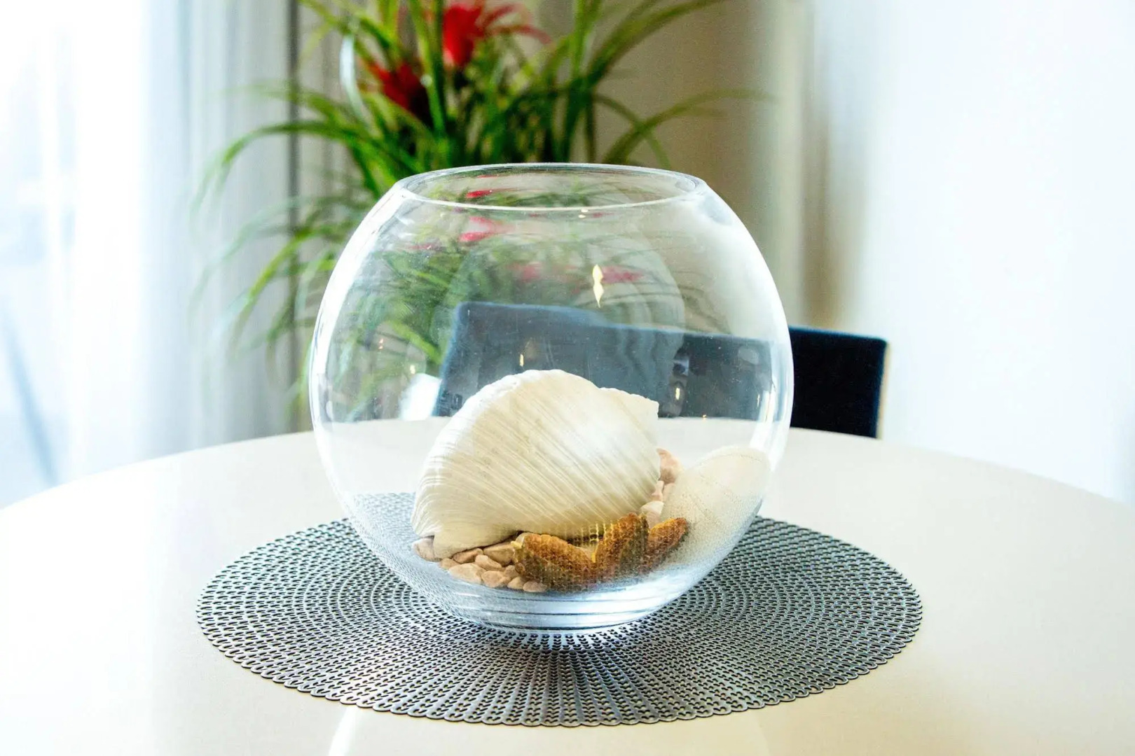 Foto - Manly Marina Cove Motel