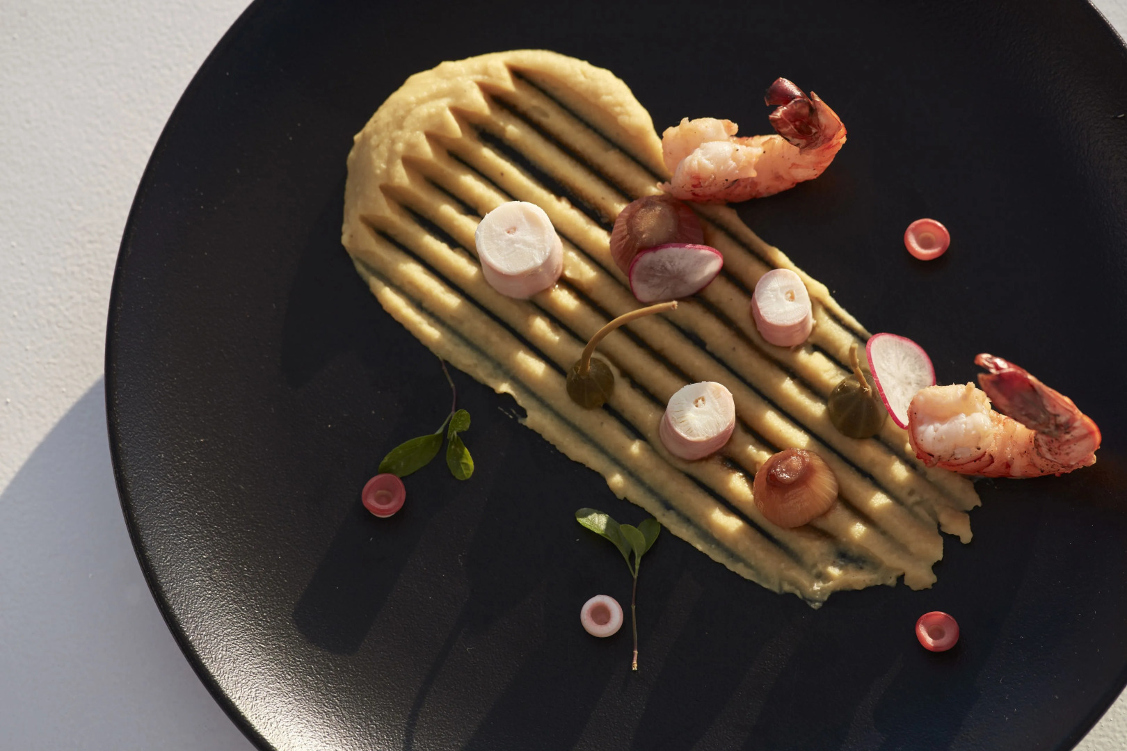 Foto - Canaves Sunday