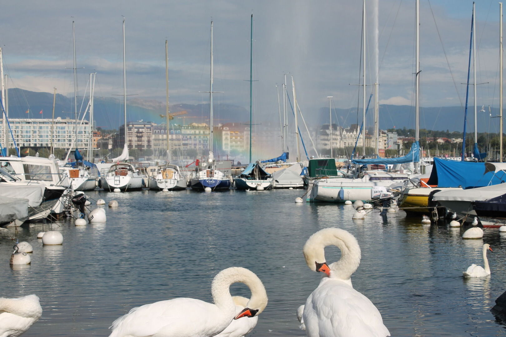 Foto - The Ambassador