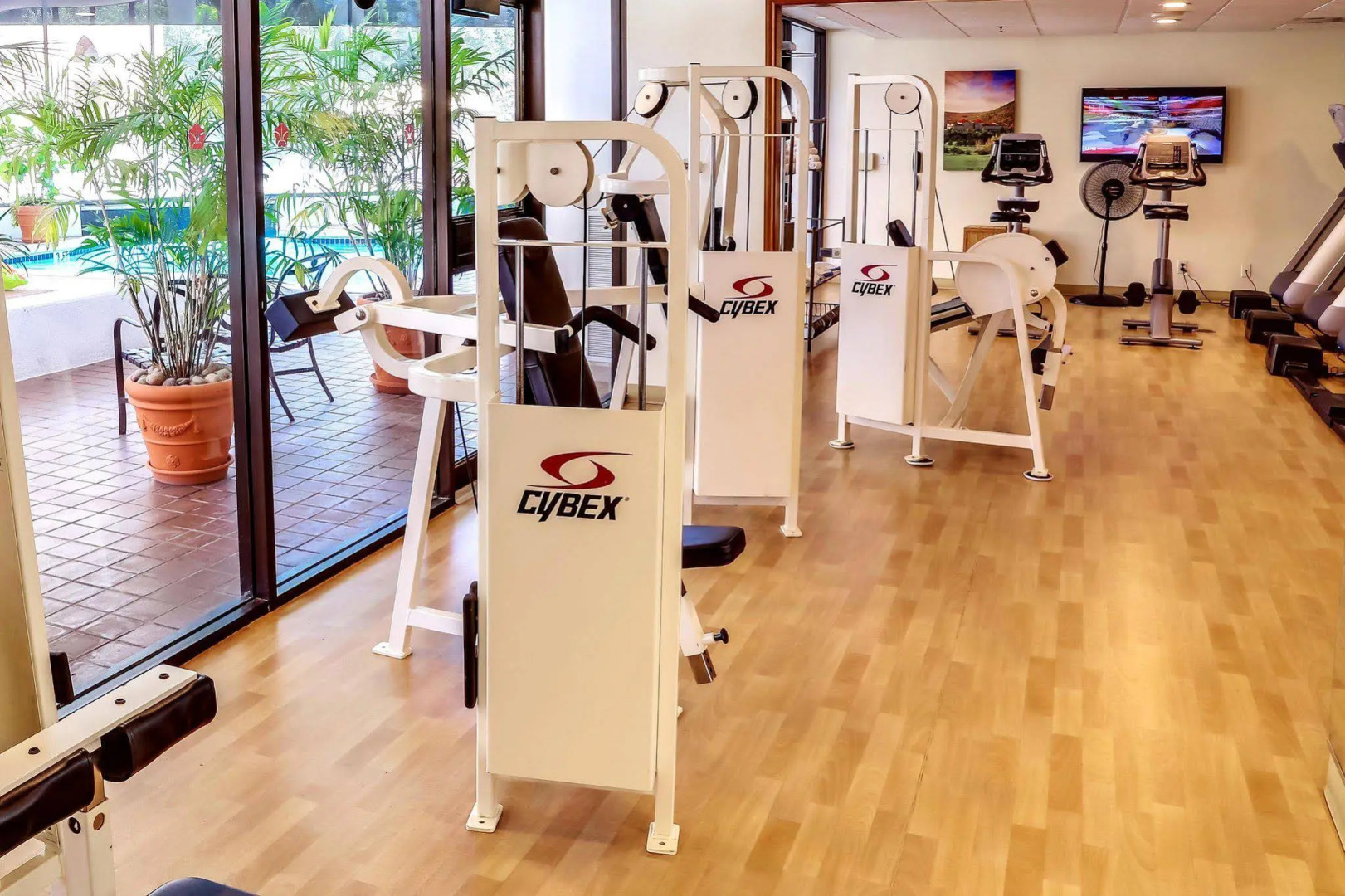 Foto - Austin Southpark Hotel