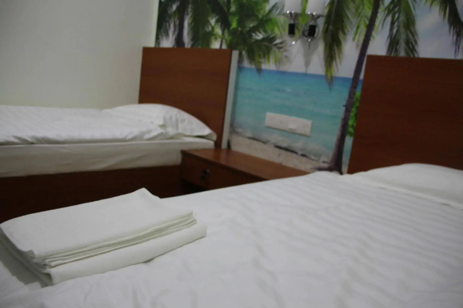 Foto - Rain Forest Hotel