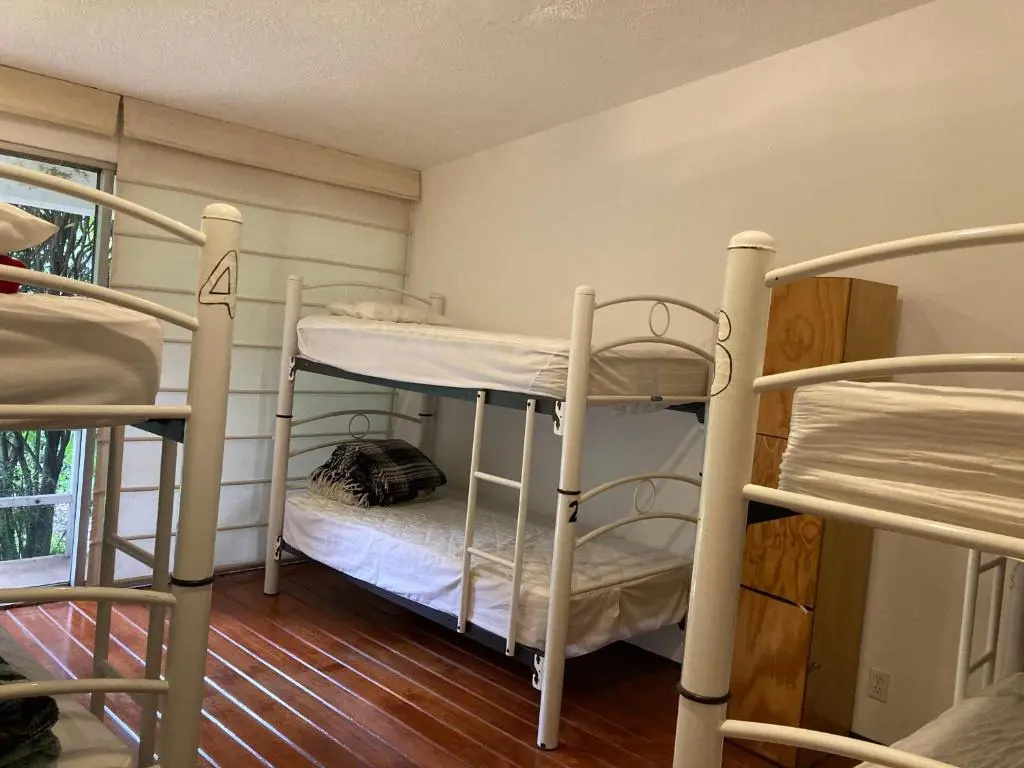 Foto - Hostal Cuija Coyoacan Berlin 268 Coyoacan