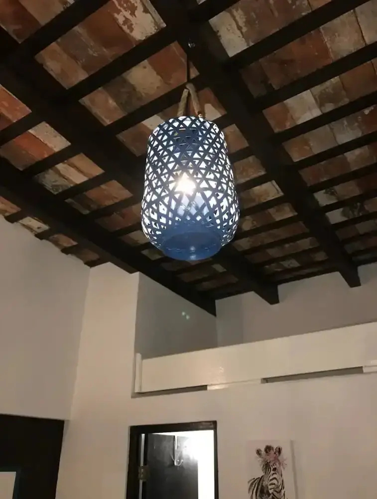 Foto - Trotamundos