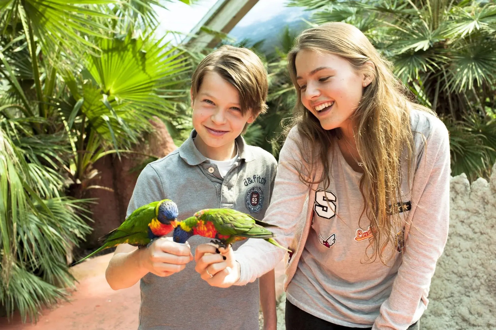 Photo - Van Der Valk Avifauna