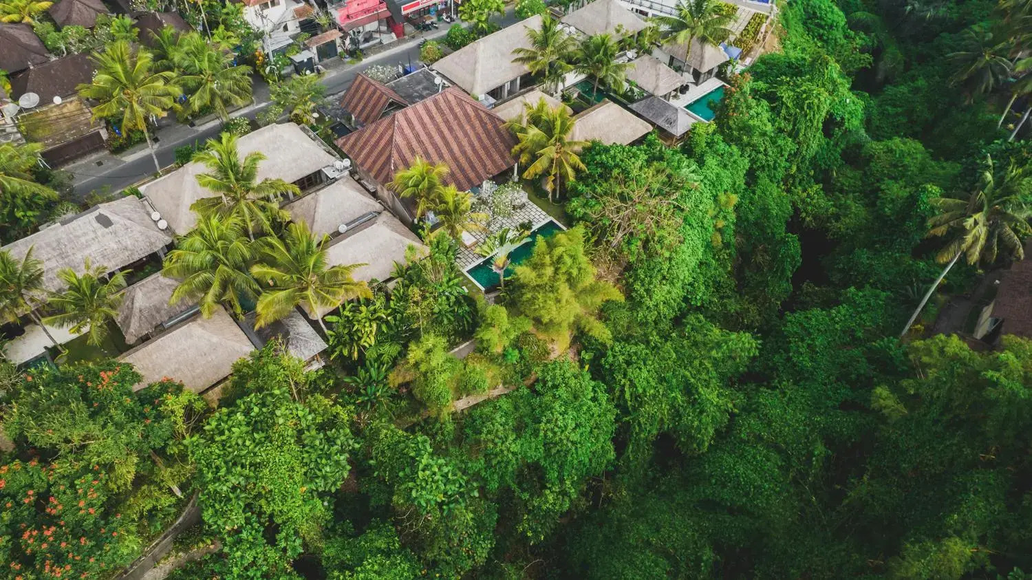 Foto - Luwak Ubud Villa & Jungle Suite
