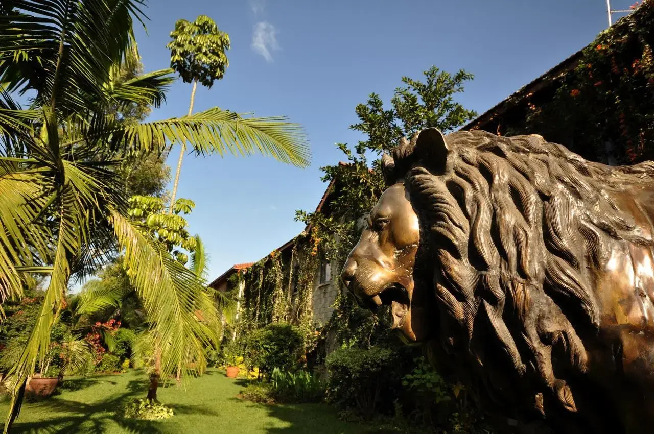 Foto - La Mada Hotel