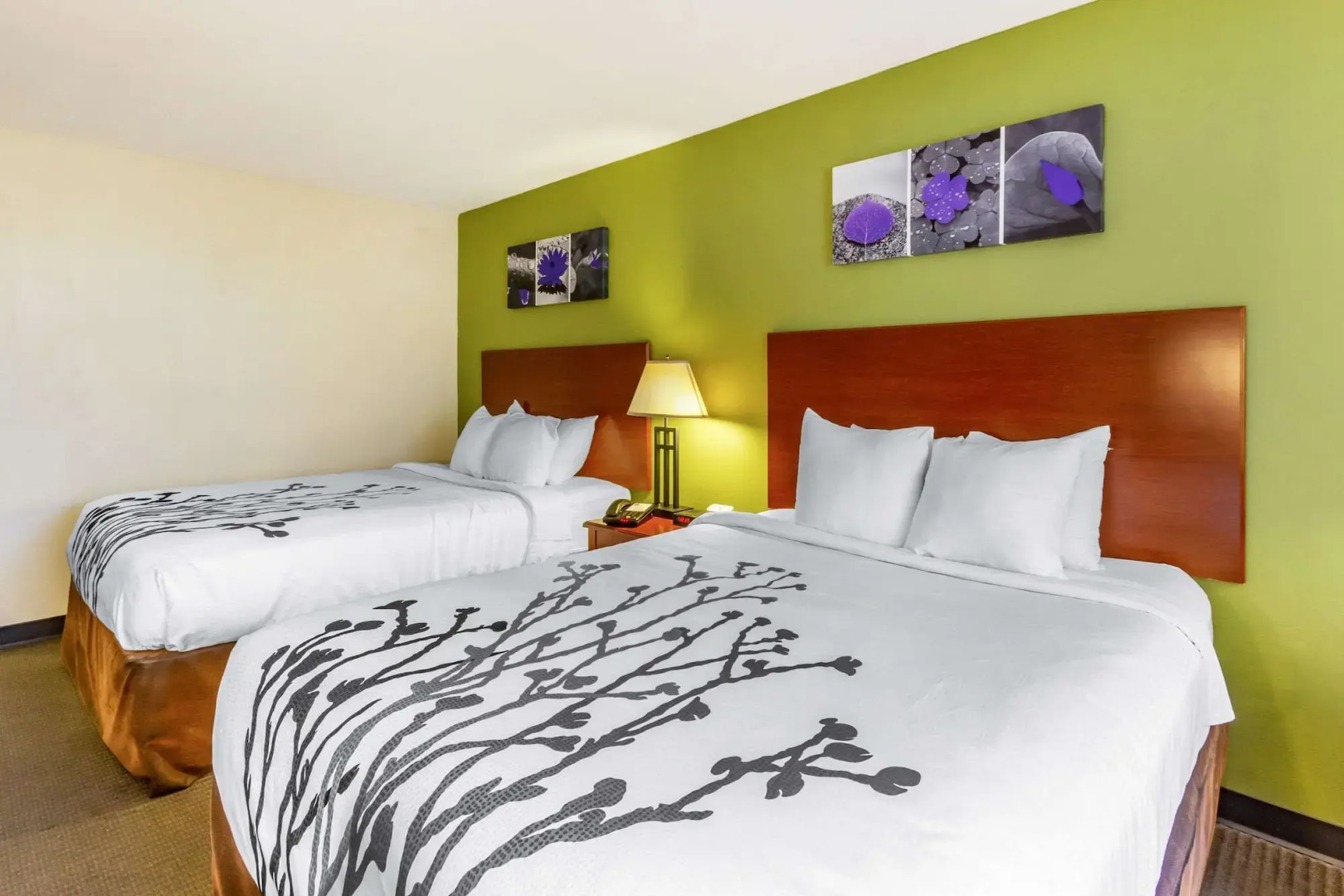 Foto - Sleep Inn & Suites Jacksonville West