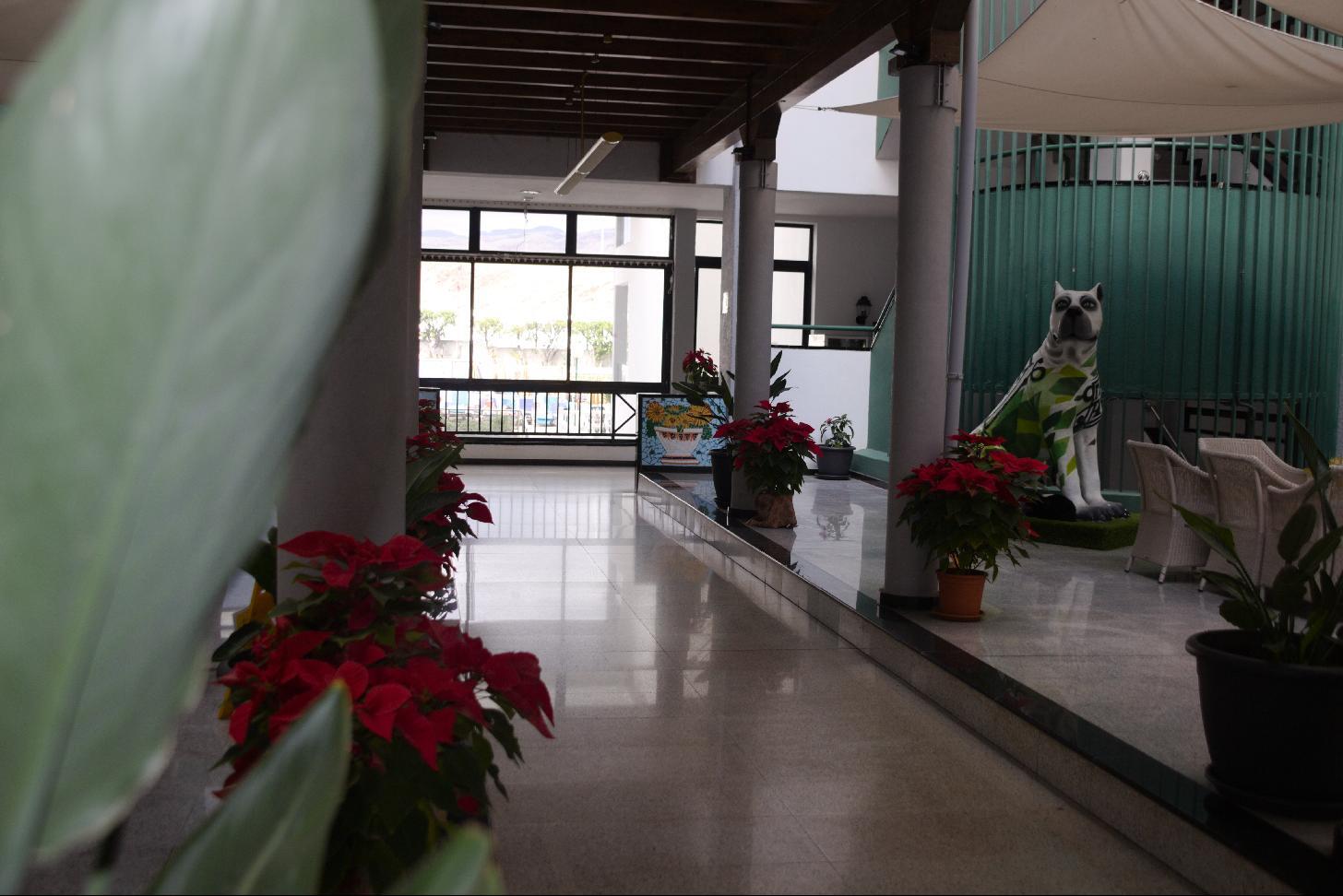 Photo - Hotel Green Field