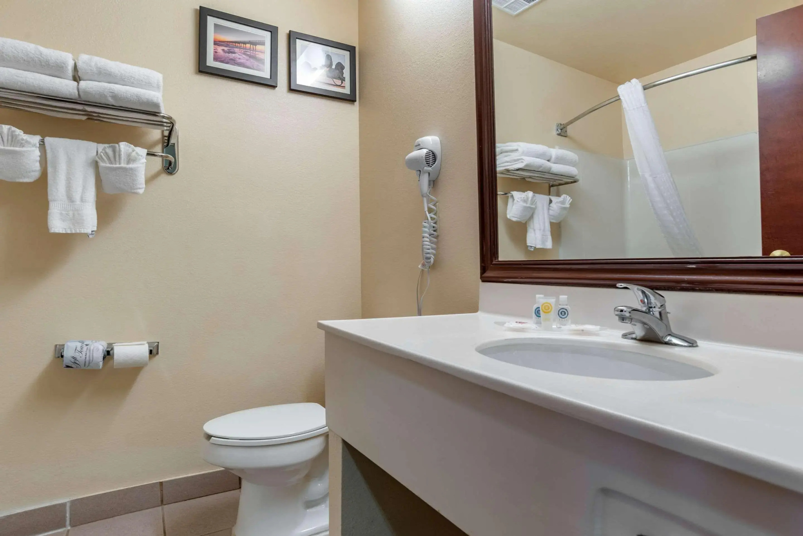 Foto - Comfort Suites Jacksonville Airport