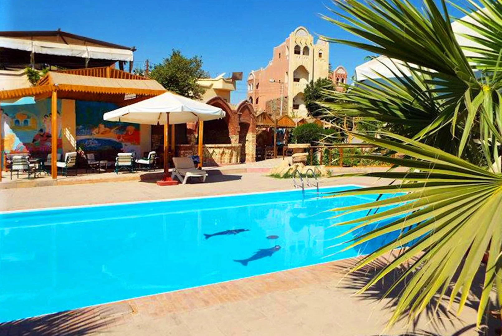 Foto - Hotel Sheherazade Luxor