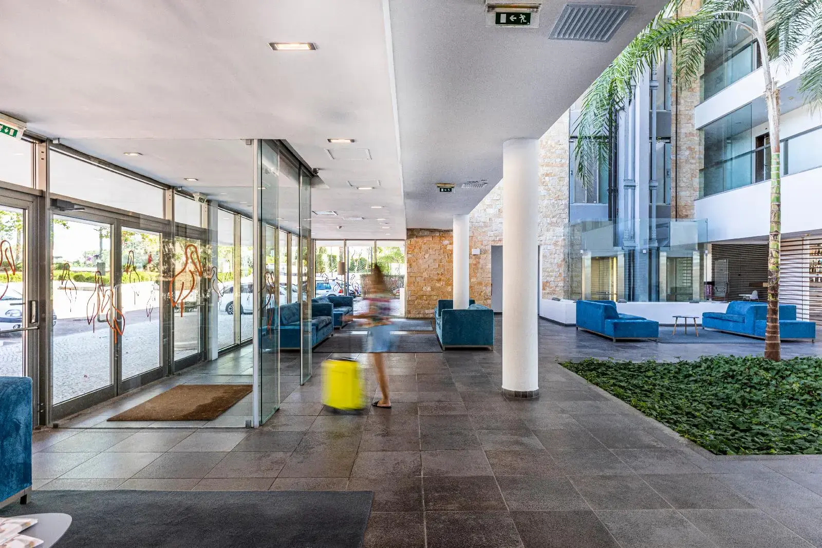 Photo - Pelican Alvor