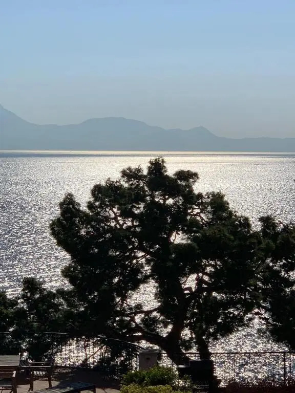 Foto - PrimoPianoPosillipo