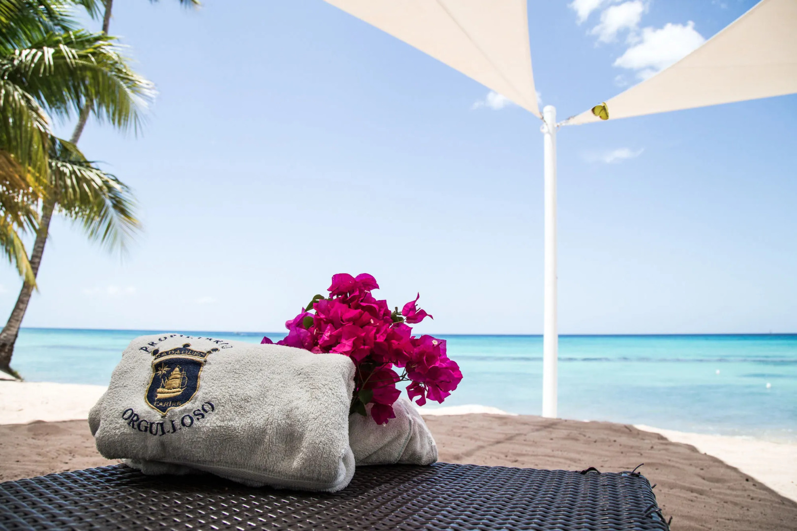 Foto - Los Flamencos Aparthotel Beach Club