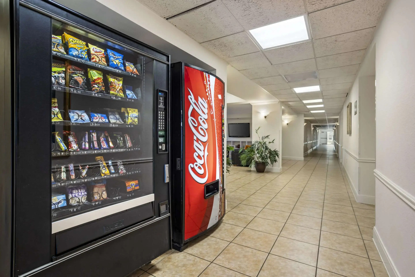 Foto - Quality Inn & Suites NRG Park - Medical Center