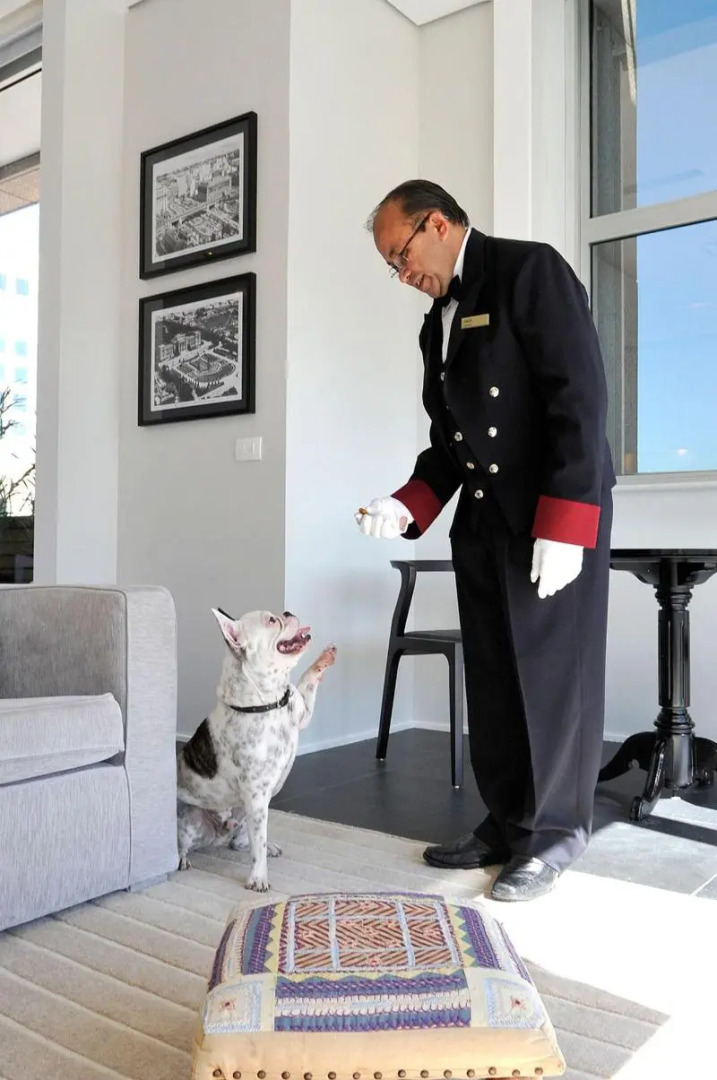 Photo - Sheraton São Paulo WTC Hotel