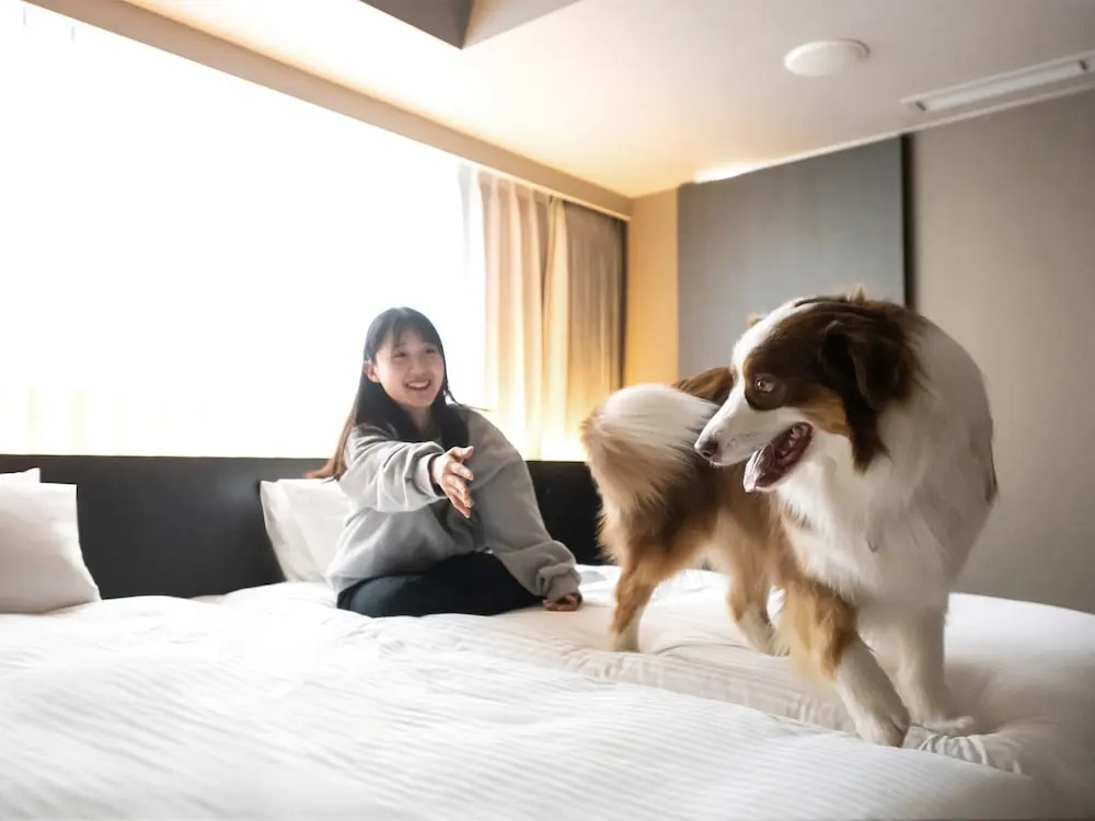 Foto - hotel anddoggy Kyoto Nijo