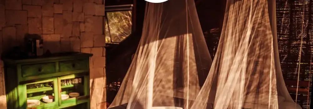 Foto - Vida Silvestre Tulum