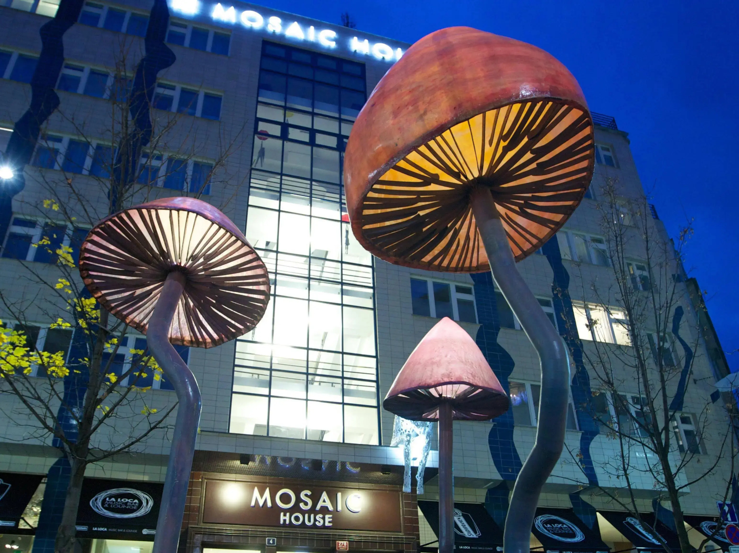 Foto - MOSAIC HOUSE Design Hotel