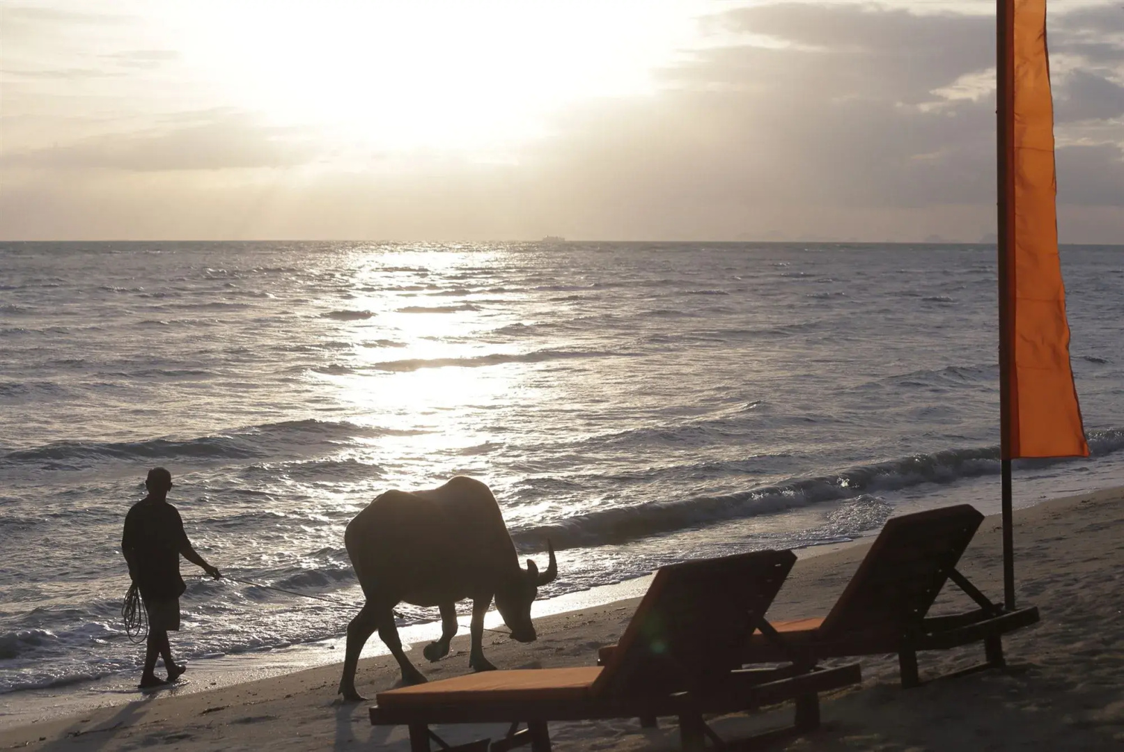 Foto - Viva Vacation Resort