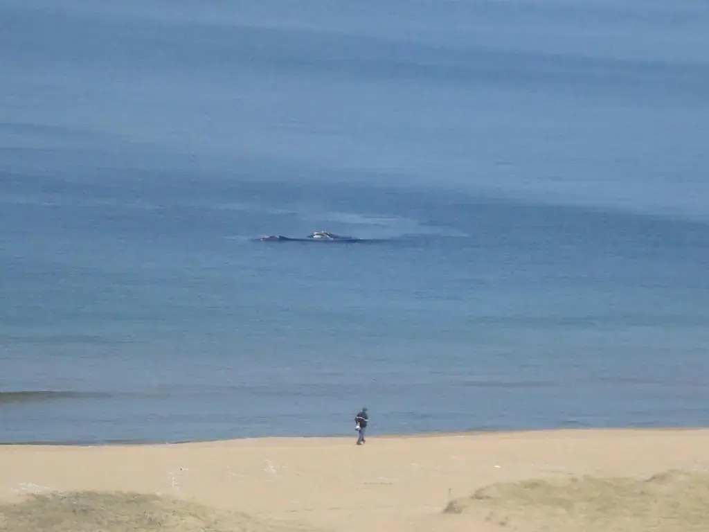 Foto - BDA Hotel & Spa