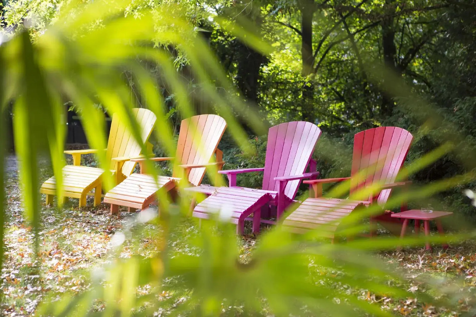 Foto - Auszeit Hotel Düsseldorf - das Frühstückshotel