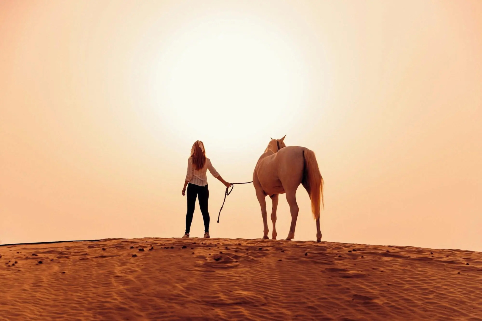 Foto - Al Wathba, a Luxury Collection Desert Resort & Spa, Abu Dhabi
