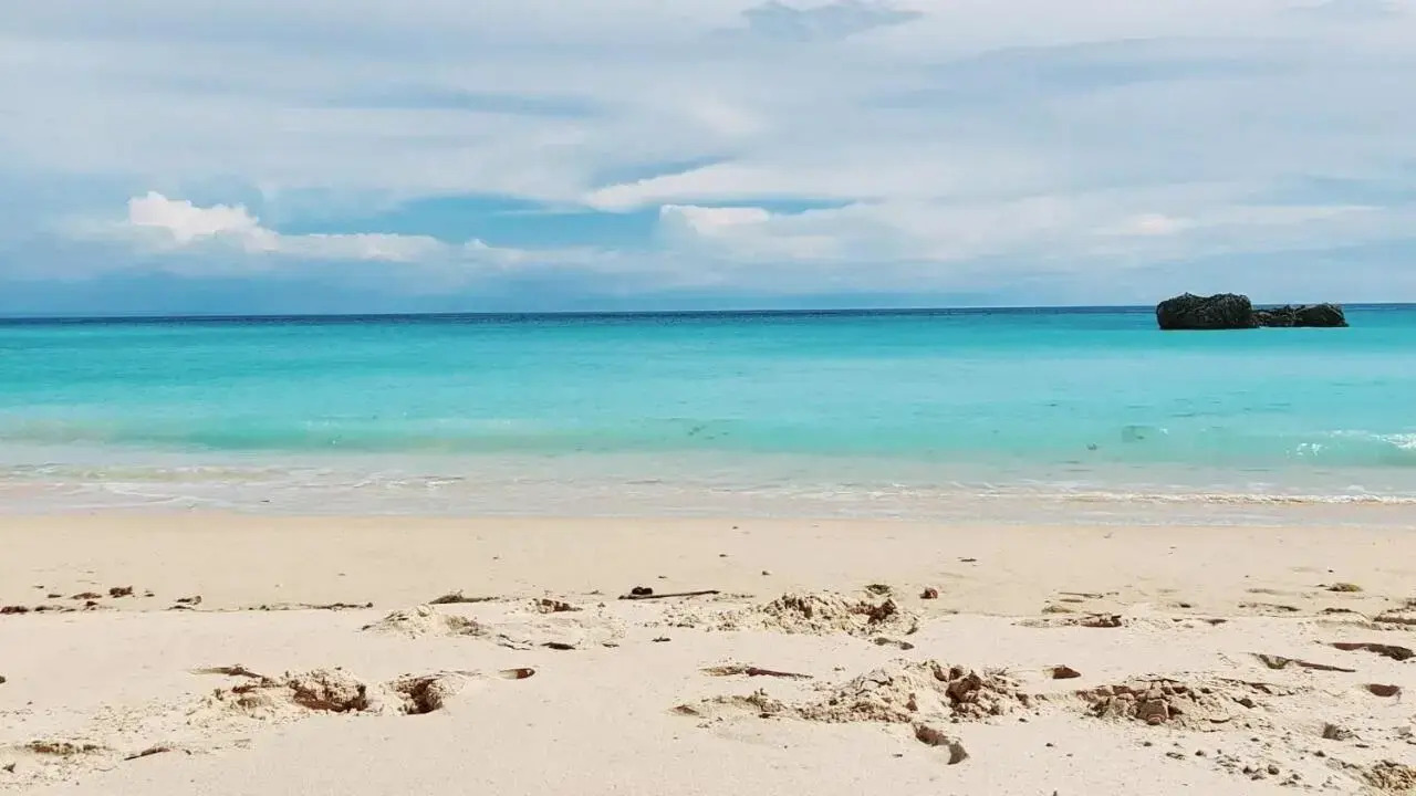 Foto - Four Points by Sheraton Sesimbra