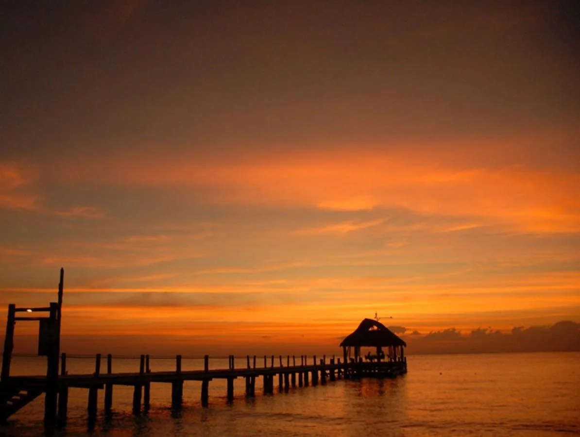 Photo - Secrets Aura Cozumel - Adults Only