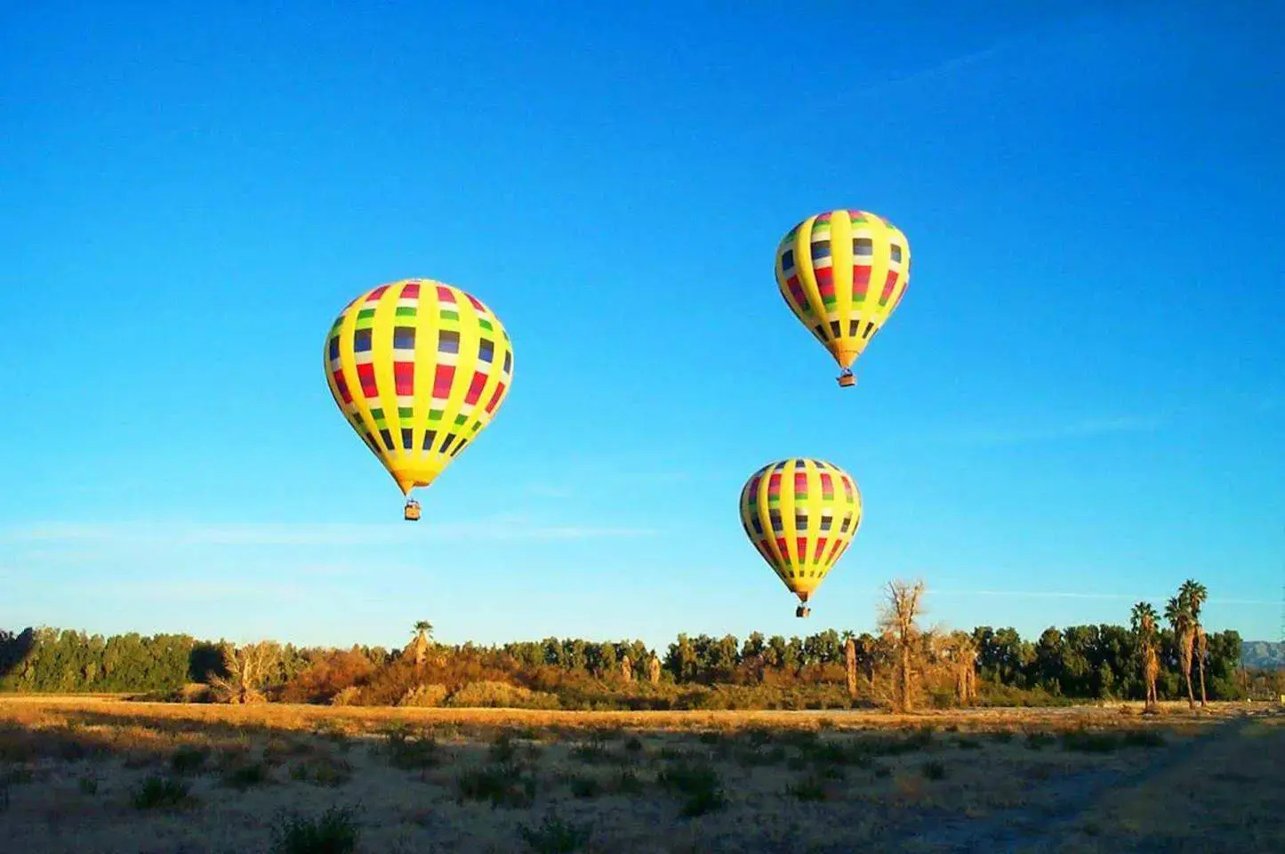 Foto - Hampton Inn & Suites Palm Desert