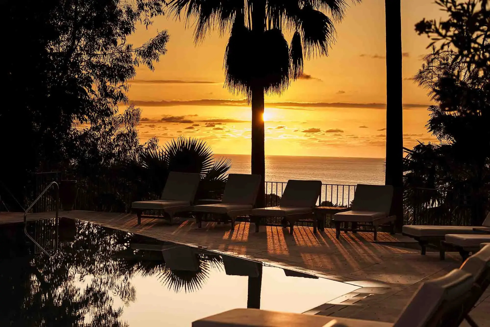 Foto - Alberi del Paradiso