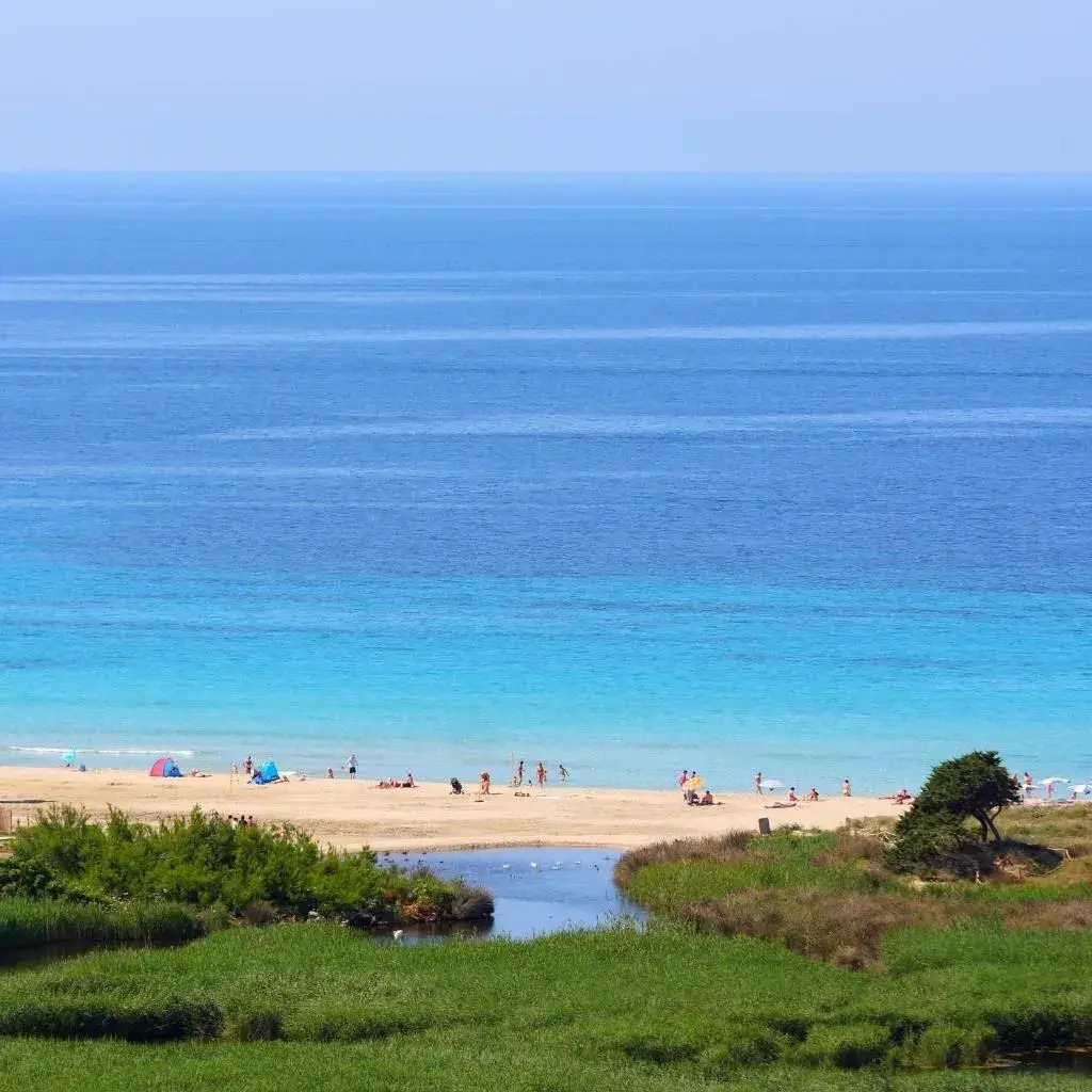 Photo - Valentin Son Bou