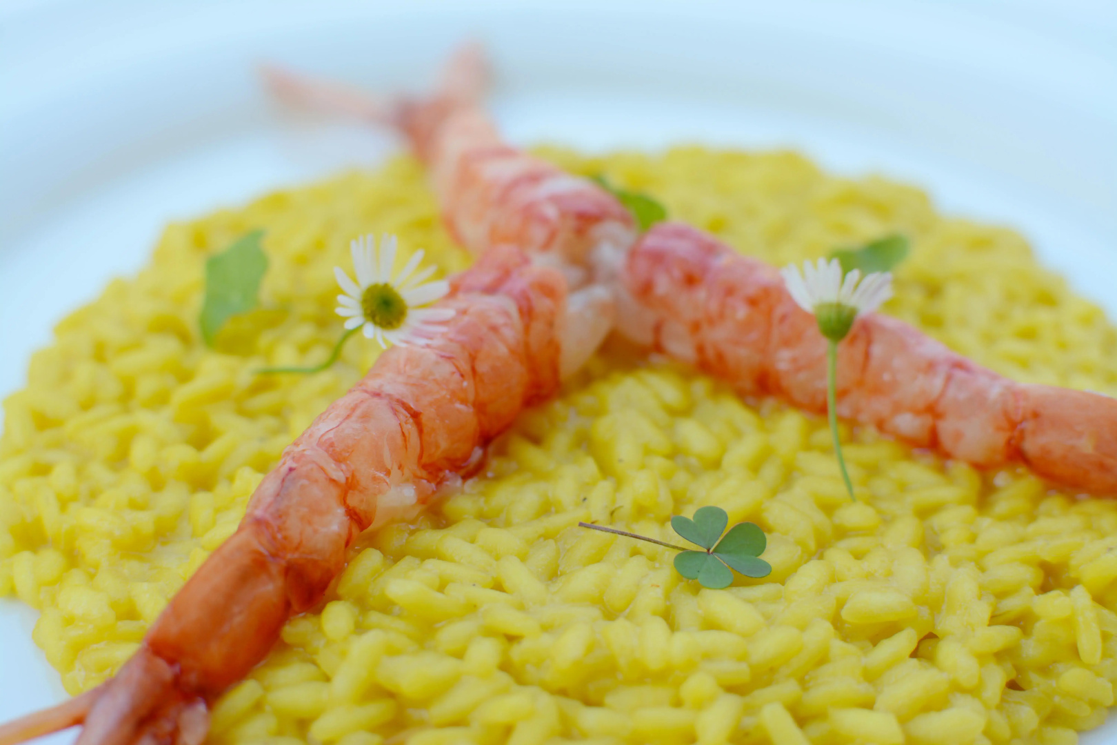 Photo - Apulia Hotel Vittoria Resort Pool & SPA