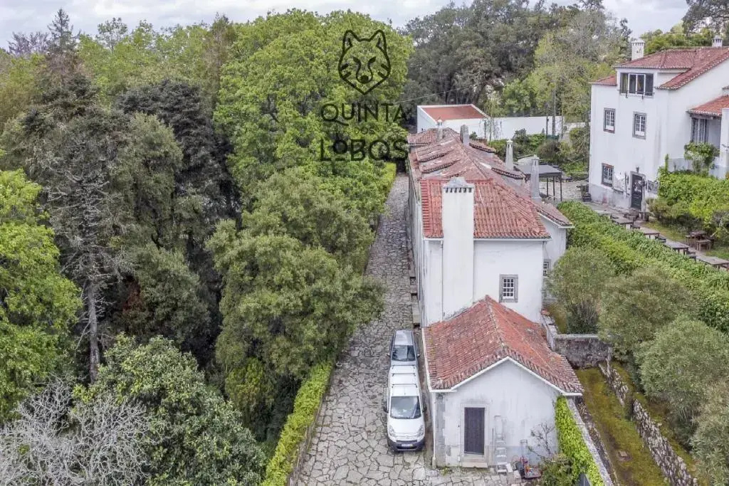 Foto - Quinta dos Lobos Boutique Hotel - Nature Experience