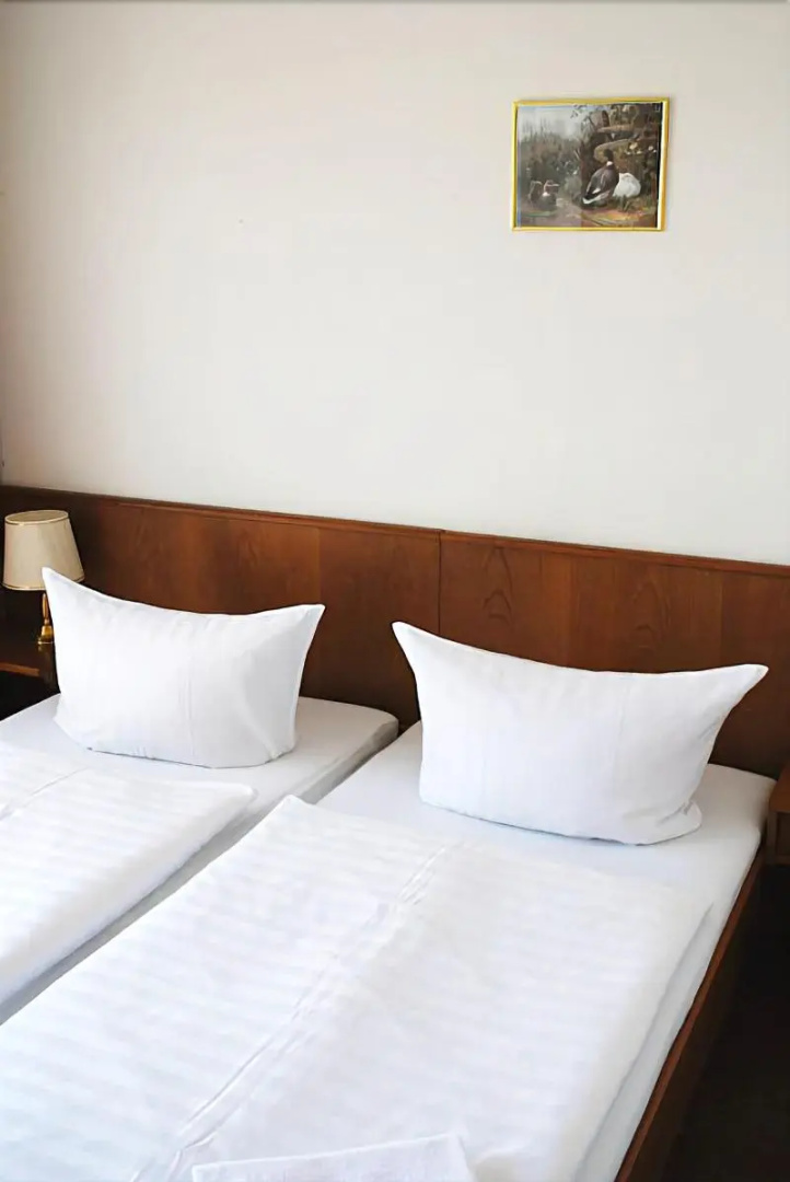 Foto - Hotel Zum goldenen Stern