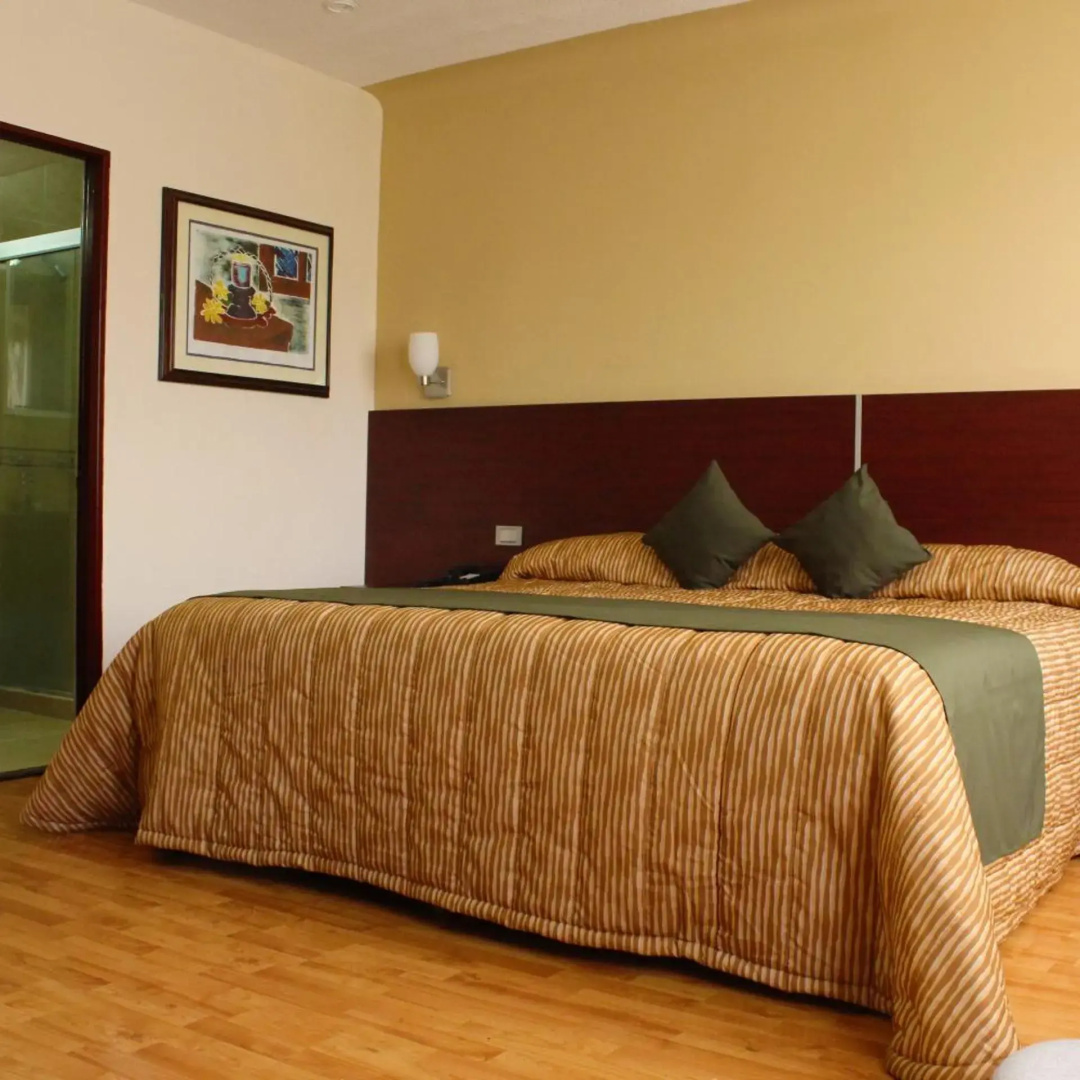 Foto - Hotel Don Miguel