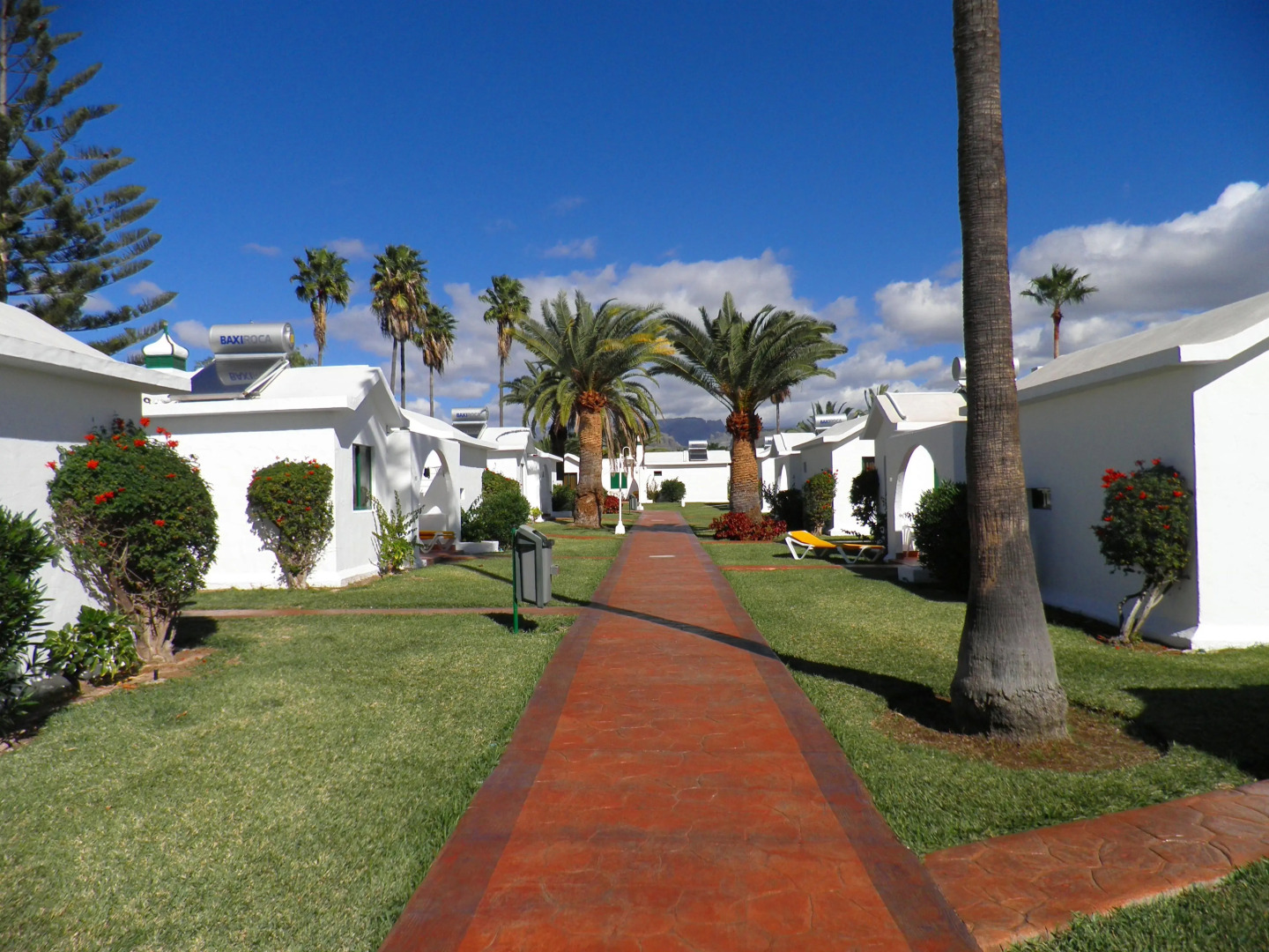 Foto - Canary Garden Club