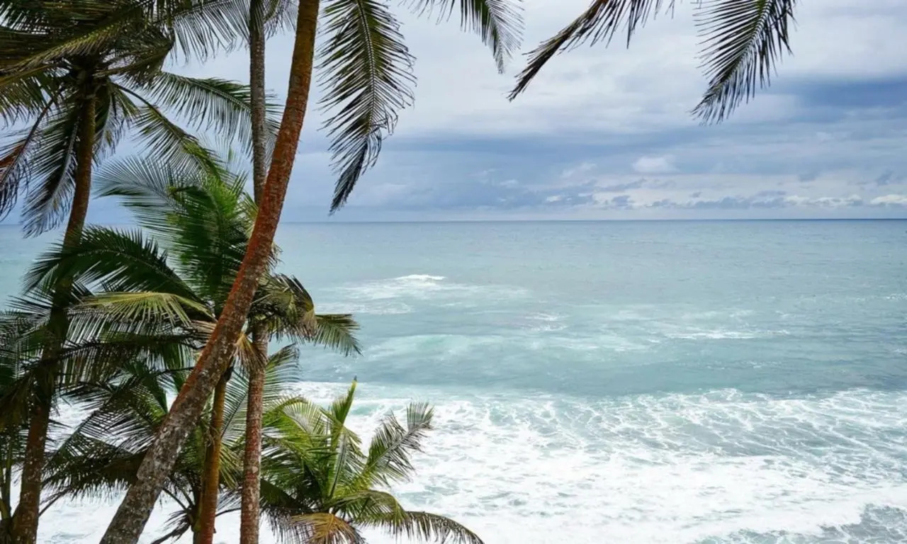 Photo - Omali São Tomé – Principe Collection