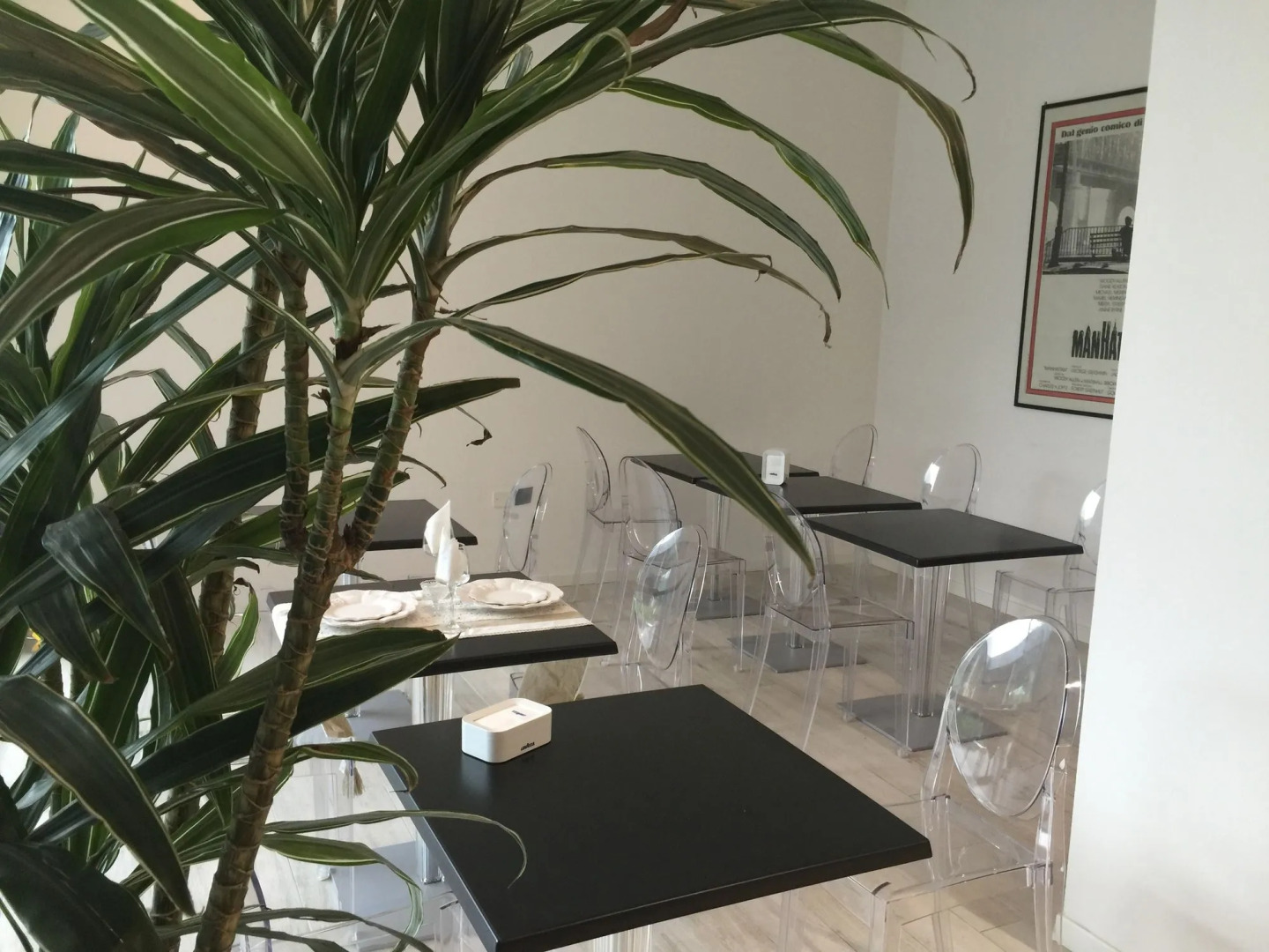 Foto - Blue Shades Hotel