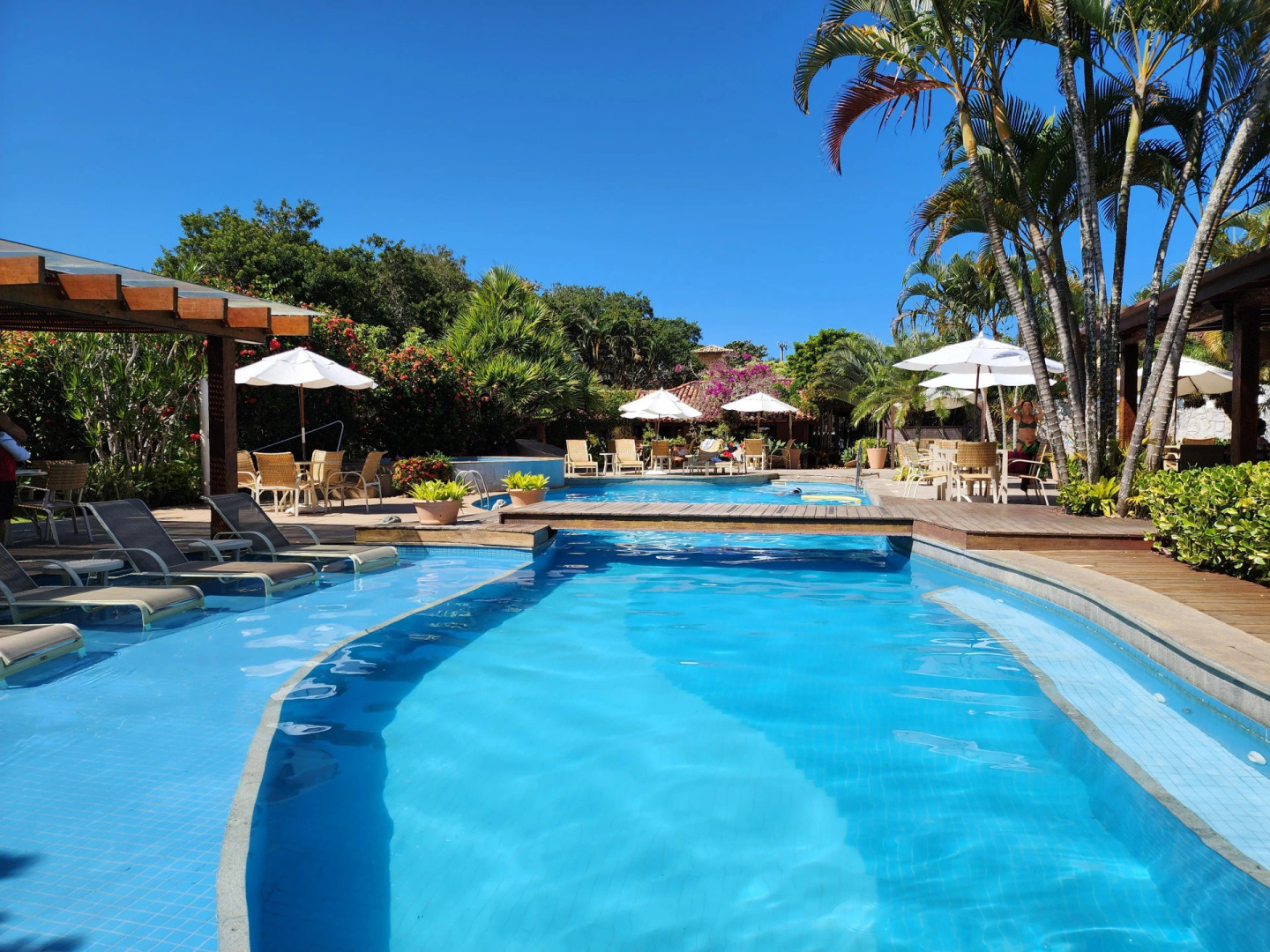 Photo - Corais e Conchas