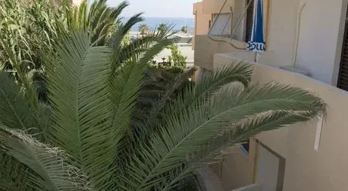 Photo - Domenica Apartments