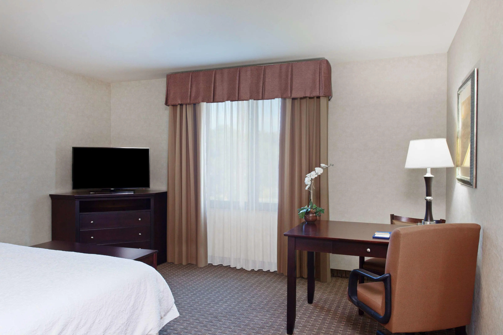 Foto - Hampton Inn & Suites Oakland Airport-Alameda