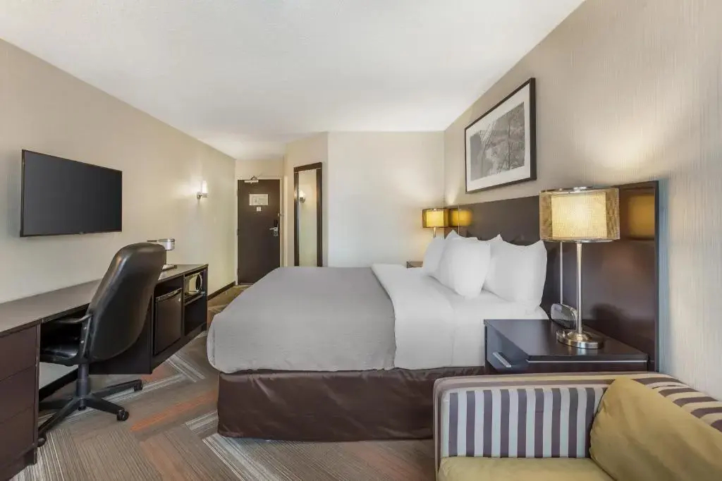Foto - Quality Hotel